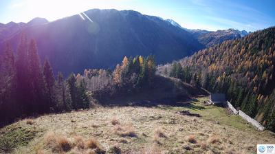 immagine della webcam nei dintorni di Forni di Sopra: webcam Sauris