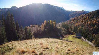 immagine della webcam nei dintorni di San Pietro di Cadore: webcam Sauris