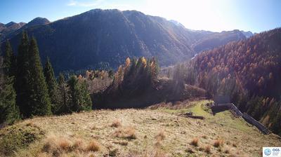 immagine della webcam nei dintorni di Arta Terme: webcam Sauris