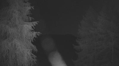 immagine della webcam nei dintorni di Lanzada: webcam Tirano
