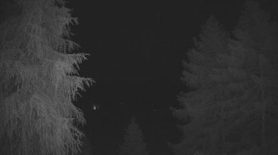 immagine della webcam nei dintorni di Lanzada: webcam Tirano