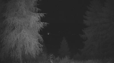 immagine della webcam nei dintorni di Sondalo: webcam Tirano