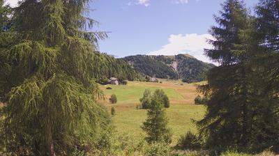 immagine della webcam nei dintorni di Chiesa in Valmalenco: webcam Tirano