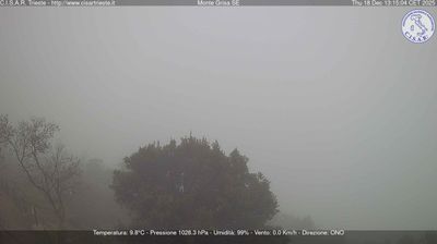 Preview delle webcam di San Dorligo della Valle