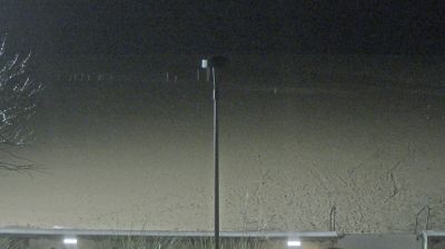 immagine della webcam nei dintorni di Grado Pineta: webcam Bibione