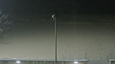 immagine della webcam nei dintorni di Porto Santa Margherita: webcam Bibione