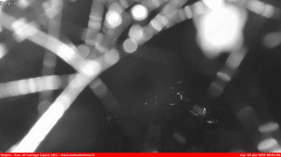 immagine della webcam nei dintorni di Passo del Penice: webcam Carrega Ligure