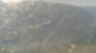 immagine della webcam nei dintorni di Fenestrelle: webcam Mompantero