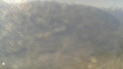 immagine della webcam nei dintorni di Sestriere: webcam Mompantero