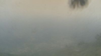 immagine della webcam nei dintorni di Usseglio: webcam Mompantero