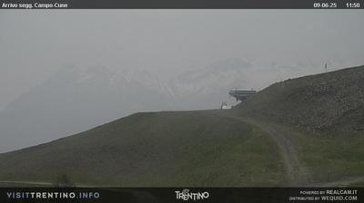 immagine della webcam nei dintorni di Bellamonte: webcam Pampeago