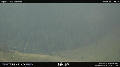 Preview delle webcam di San Martino di Castrozza: Malga Tognola - San Martino