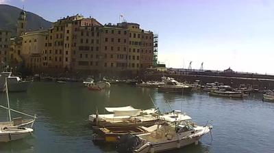 immagine della webcam nei dintorni di Lavagna: webcam Camogli