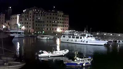 immagine della webcam nei dintorni di Quinto Al Mare: webcam Camogli