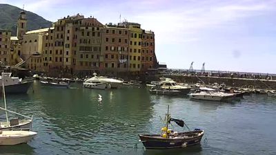 immagine della webcam nei dintorni di Portofino: webcam Camogli