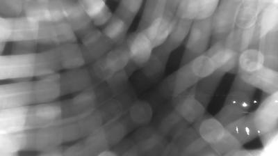 immagine della webcam nei dintorni di Allumiere: webcam Bracciano