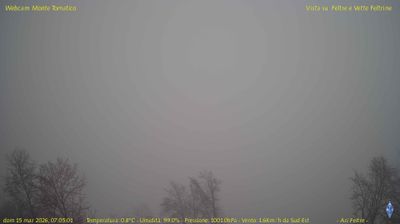 immagine della webcam nei dintorni di Vidor: webcam Feltre