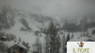 immagine della webcam nei dintorni di Baceno: webcam Alpe Devero