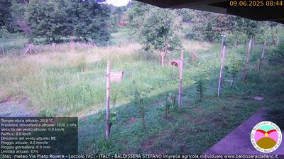 immagine della webcam nei dintorni di Cavaglio d'Agogna: webcam Lozzolo