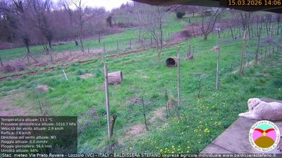 immagine della webcam nei dintorni di Vaprio d'Agogna: webcam Lozzolo