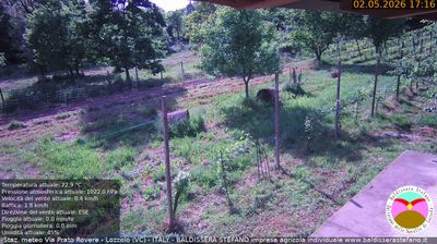 immagine della webcam nei dintorni di Cavaglio d'Agogna: webcam Lozzolo