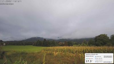 immagine della webcam nei dintorni di Vidor: webcam San Gregorio nelle Alpi