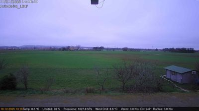 Preview delle webcam di Felino