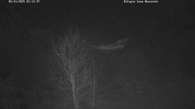 immagine della webcam nei dintorni di Pizzo Bernina: webcam Valmasino