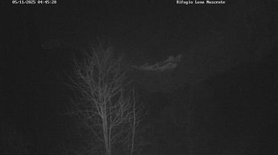 immagine della webcam nei dintorni di Pizzo Bernina: webcam Valmasino