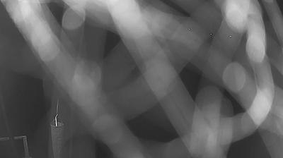 immagine della webcam nei dintorni di Sabaudia: webcam Frasso