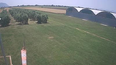 immagine della webcam nei dintorni di San Felice Circeo: webcam Frasso