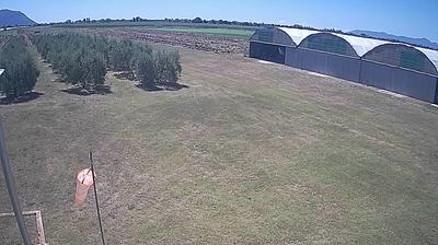 immagine della webcam nei dintorni di Sabaudia: webcam Frasso