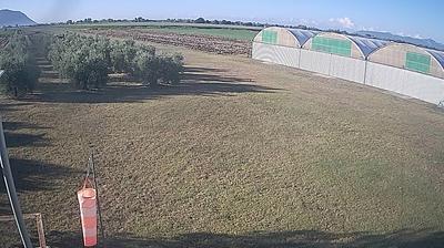 immagine della webcam nei dintorni di Giuliano di Roma: webcam Frasso