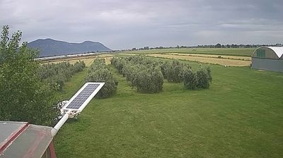 immagine della webcam nei dintorni di Pico: webcam Frasso