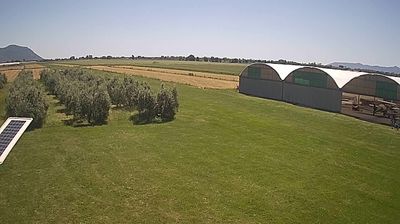 immagine della webcam nei dintorni di Sabaudia: webcam Frasso