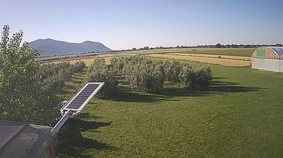 immagine della webcam nei dintorni di San Felice Circeo: webcam Frasso