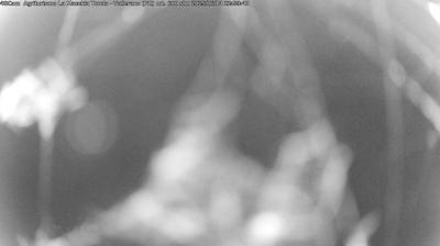 immagine della webcam nei dintorni di Tizzano Val Parma: webcam Langhirano