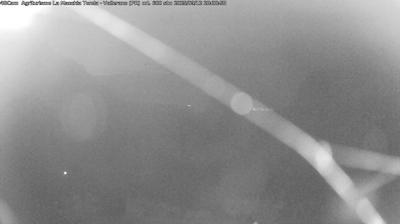 immagine della webcam nei dintorni di Pratizzano: webcam Langhirano