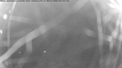 immagine della webcam nei dintorni di Parma: webcam Langhirano