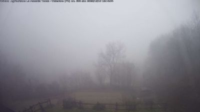 Preview delle webcam di Langhirano