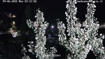 immagine della webcam nei dintorni di Rosazza: webcam Piode