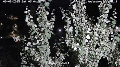 immagine della webcam nei dintorni di Campertogno: webcam Piode