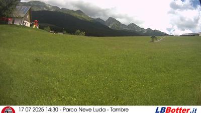 immagine della webcam nei dintorni di Pian del Cansiglio: webcam Col Indes