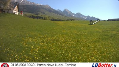 immagine della webcam nei dintorni di Limana: webcam Col Indes