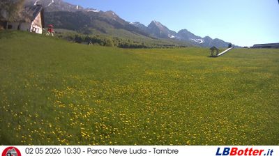 immagine della webcam nei dintorni di Pieve d'Alpago: webcam Col Indes