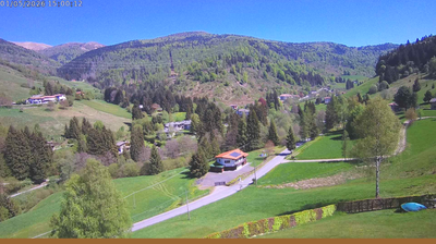 immagine della webcam nei dintorni di Darfo Boario Terme: webcam Val Palot