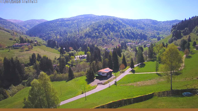 immagine della webcam nei dintorni di Zone: webcam Val Palot