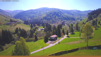immagine della webcam nei dintorni di Monte Pora: webcam Val Palot