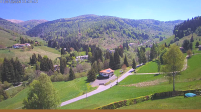 immagine della webcam nei dintorni di Bossico: webcam Val Palot