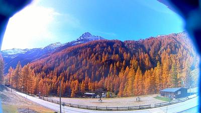 immagine della webcam nei dintorni di Cervinia Plan Maison: webcam Staffal